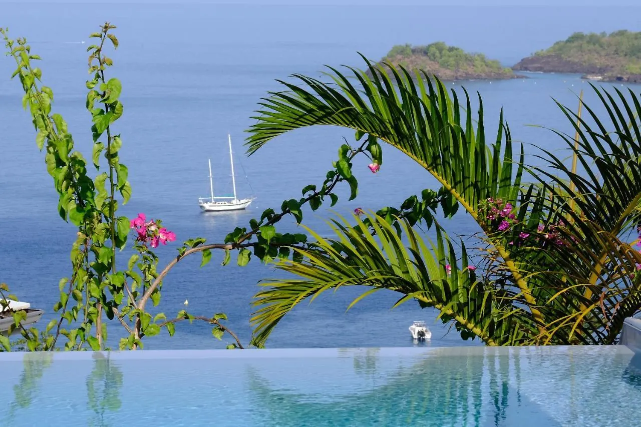Sunset Palm - Villa Creole Avec Piscine Face Au Coucher De Soleil Et A La Reserve Cousteau Bouillante Guadeloupe