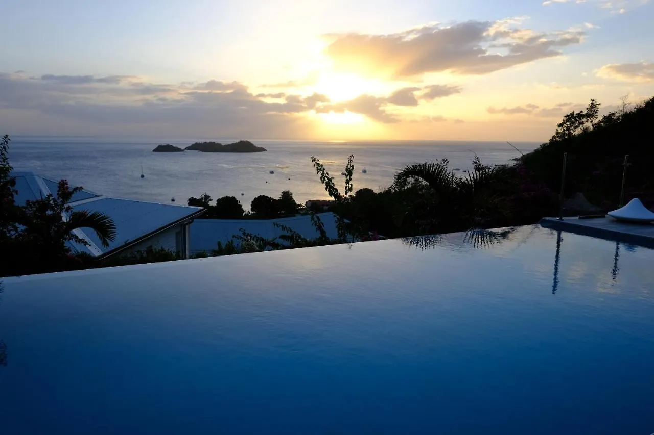 Sunset Palm - Villa Creole Avec Piscine Face Au Coucher De Soleil Et A La Reserve Cousteau Bouillante Guadeloupe