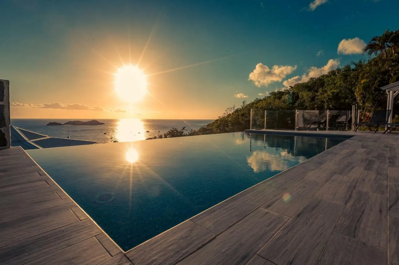 Sunset Palm - Villa Creole Avec Piscine Face Au Coucher De Soleil Et A La Reserve Cousteau contacts
